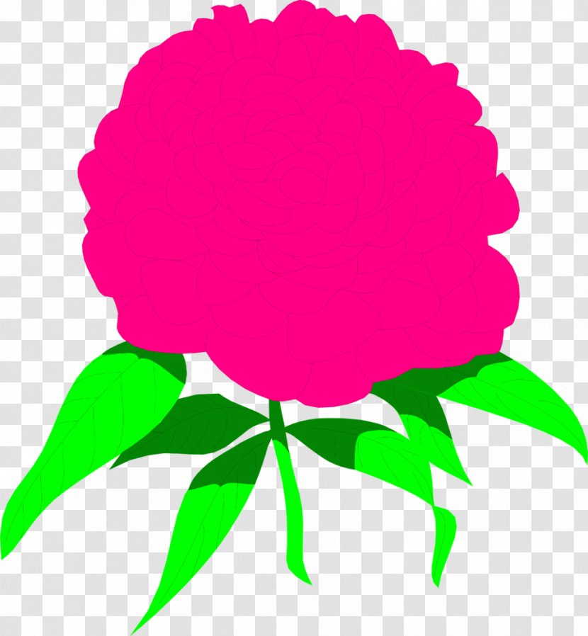 Peony Watercolor Painting Pink Flowers Drawing Clip Art - Cliparts Free Transparent PNG