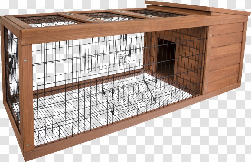 Guinea Pig Ferret Rodent Cage Pet Transparent PNG