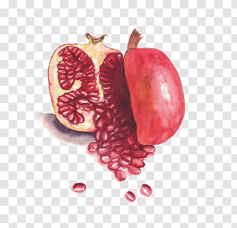 Pomegranate Fruit Auglis - Tree Transparent PNG