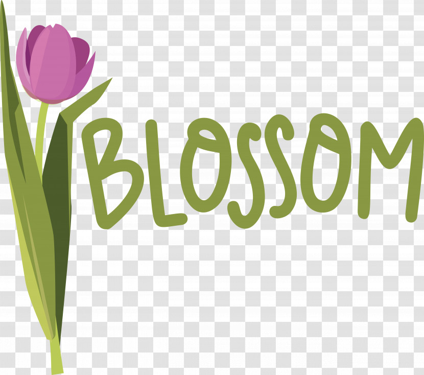 Floral Design Transparent PNG