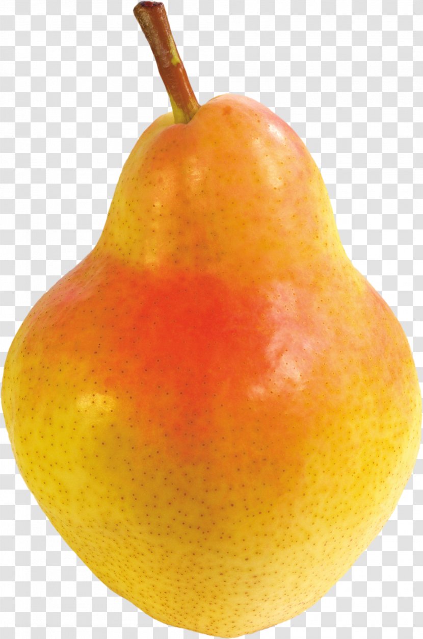 Asian Pear Fruit - Blood Orange - Image Transparent PNG