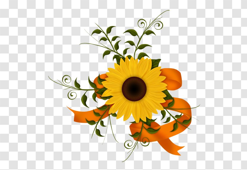 Common Sunflower Floral Design Image Drawing - Animation - Flower Transparent PNG