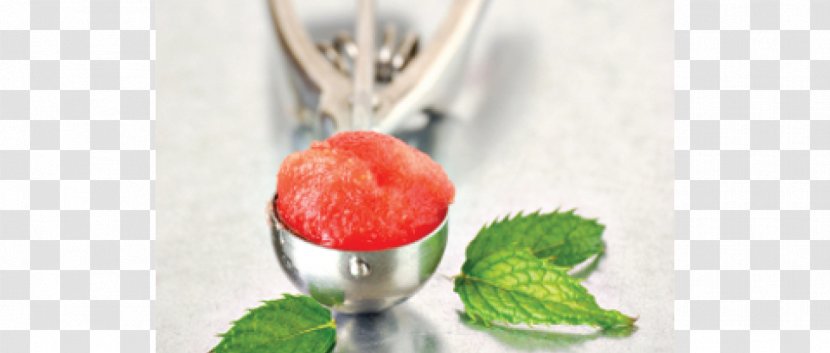 Ice Cream Sorbet Dessert Food Nut - Cocktail Garnish - Watermelon Seeds Transparent PNG