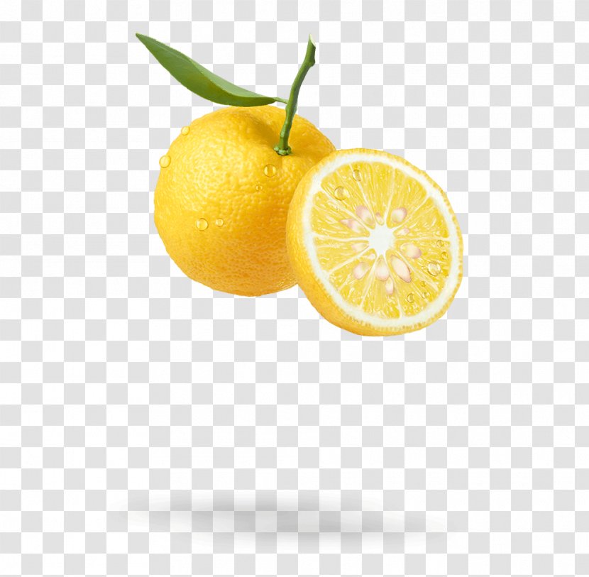 Citrus Junos Fruit Lemon Hair Clementine Transparent PNG