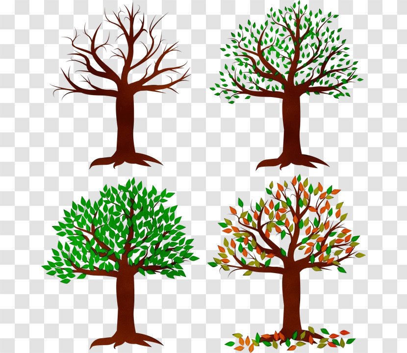 Tree Trunk Drawing - Twig - Houseplant Transparent PNG