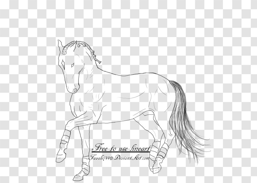 Halter Foal Mane Mustang Stallion - Neck Transparent PNG