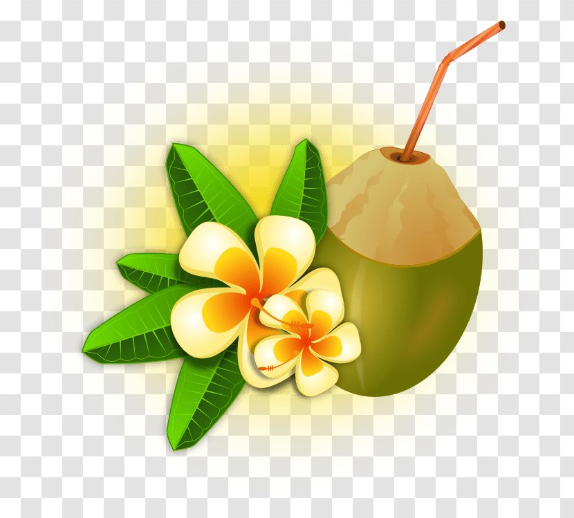 Coconut Water Tropics Clip Art - Drink - Leaf Transparent PNG