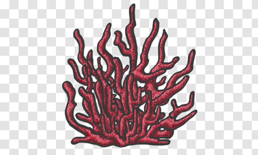 Invertebrate Tree Font - Organism - Coral Reef Drawing Transparent PNG
