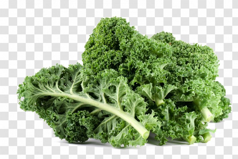 Curly Kale Leaf Vegetable Fruit Cruciferous Vegetables - Organic Food Transparent PNG