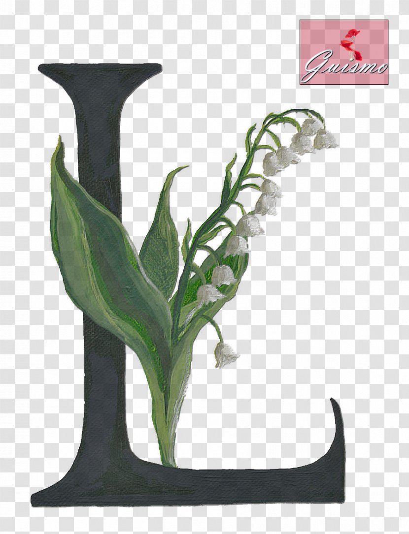 Lily Of The Valley Seoul Park Jun Jee Image Alphabet - Plant Transparent PNG