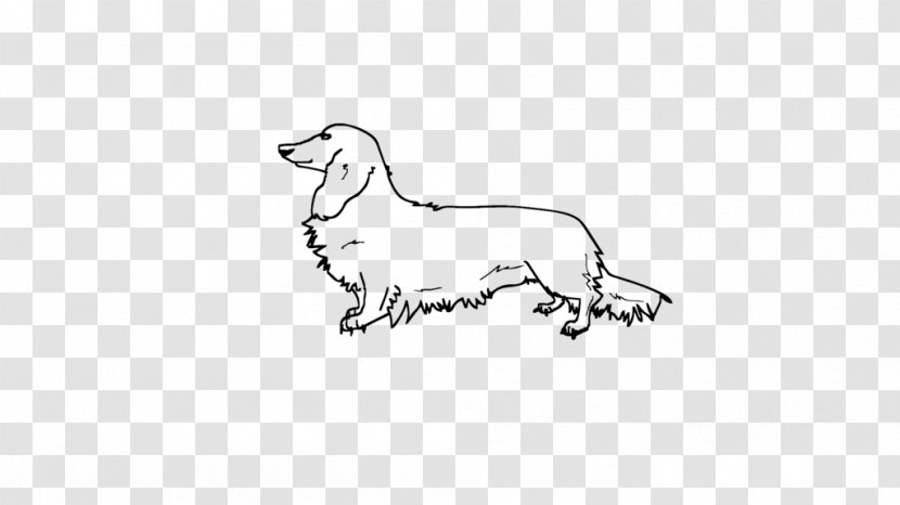 Cat Dog Drawing Mammal - Fictional Character - Long Hair Transparent PNG