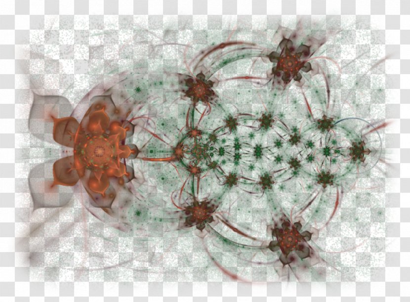 Invertebrate - Super Transparent PNG