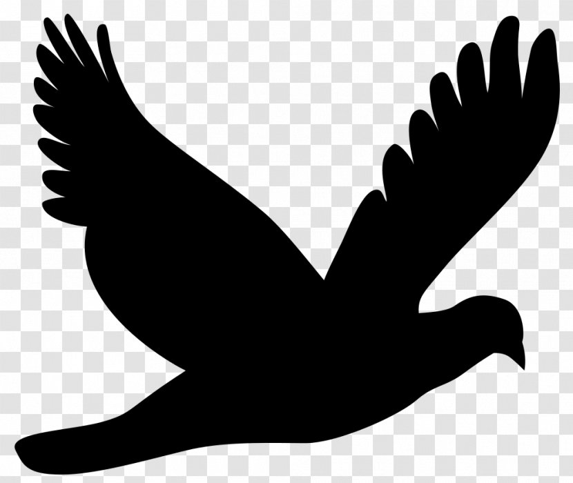 Columbidae Silhouette Clip Art - Doves As Symbols Transparent PNG