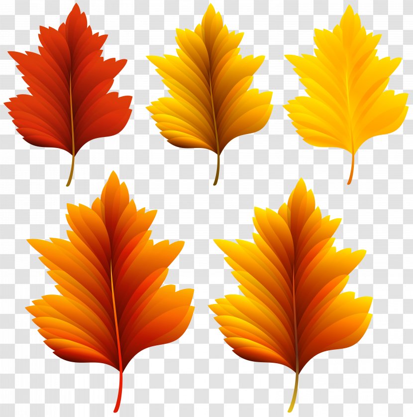 Autumn Leaf Color Clip Art - Red - Beautiful Fall Leaves Set Clipart Image Transparent PNG