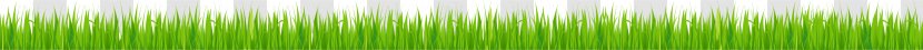 Green Angle Computer Wallpaper - Grass Transparent PNG