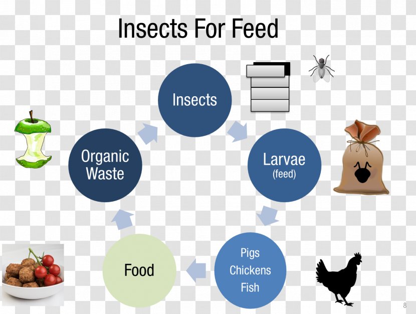 Insect Farming Business Management Food Transparent PNG