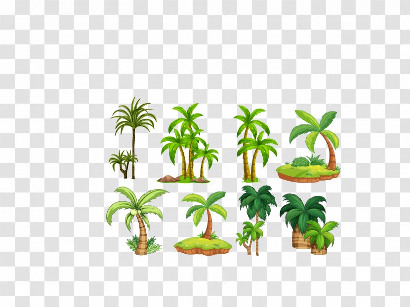 Arecaceae Royalty-free Clip Art - Line - Vector Green Tropical Plant Coconut Beach Transparent PNG