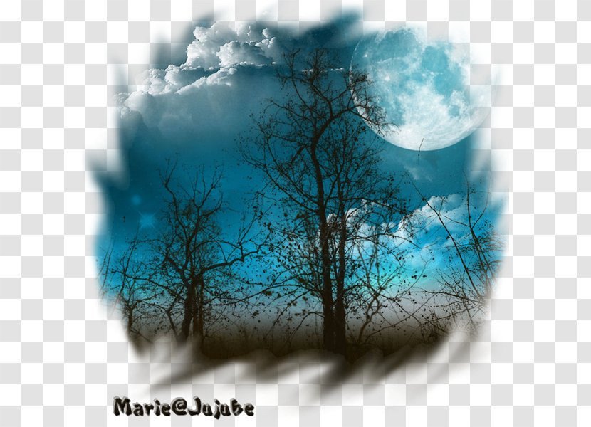 Adi Khavous Teal The Starry Night Desktop Wallpaper Nature - Sky Plc - Jujube Transparent PNG