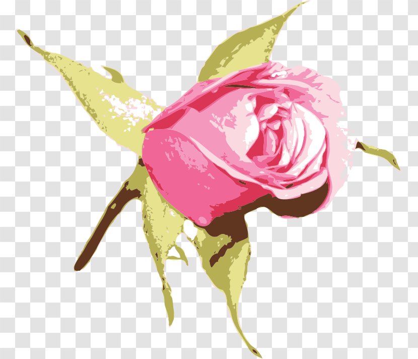 Blue Rose Clip Art Flower Garden Roses - Shimmery Pink Transparent PNG