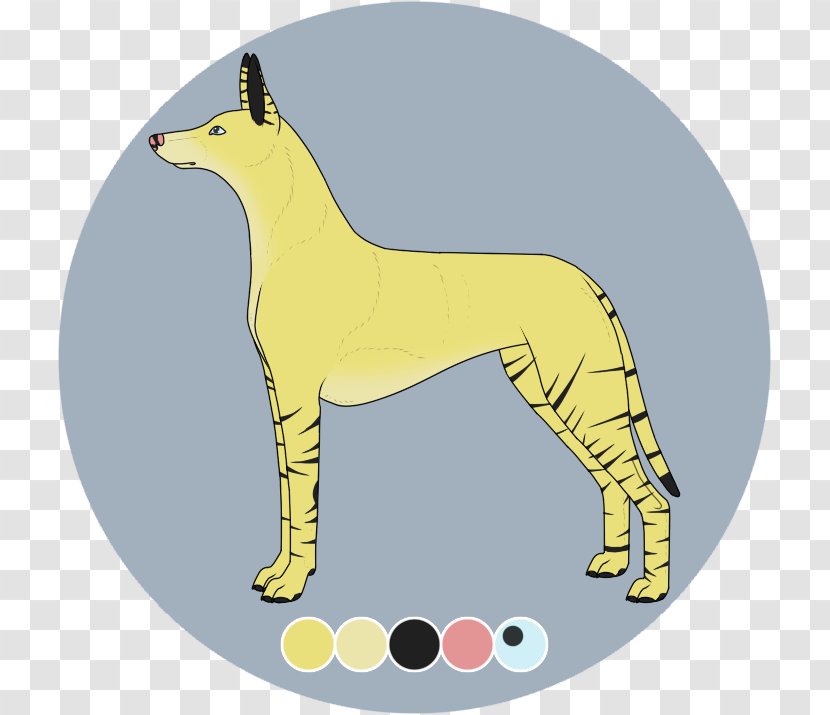 Cat Dog Breed Horse - Character Transparent PNG