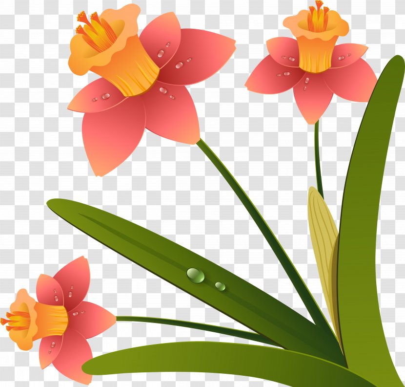 Flower Drawing - Com Transparent PNG