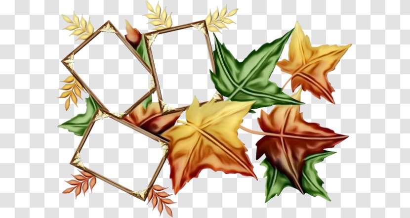 Autumn Leaf Drawing - Plane - Holly Transparent PNG