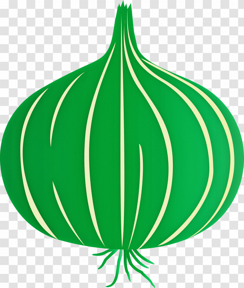 Onion Transparent PNG