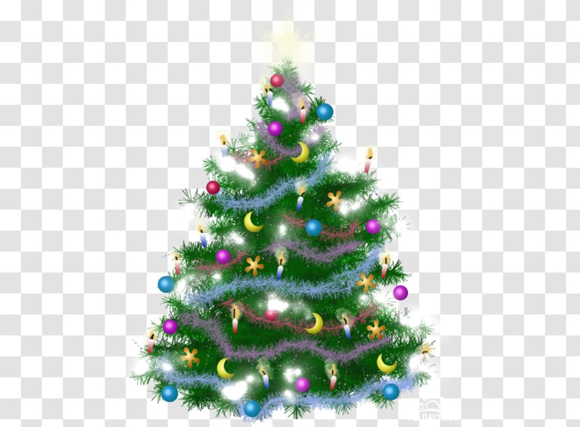 Christmas Tree Ornament Spruce Fir Pine - Conifer Transparent PNG