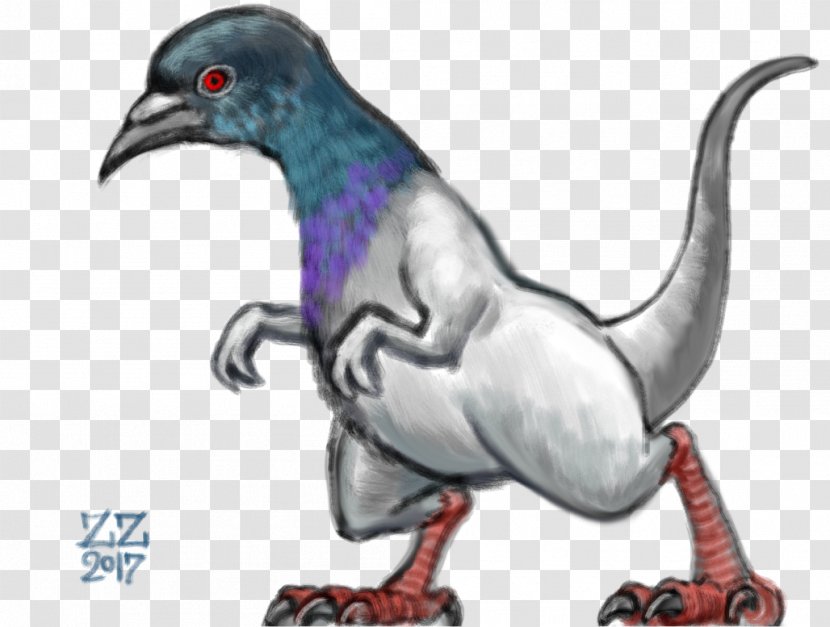 Rock Dove Columbidae Drawing Bird Dinosaur - Painting Transparent PNG
