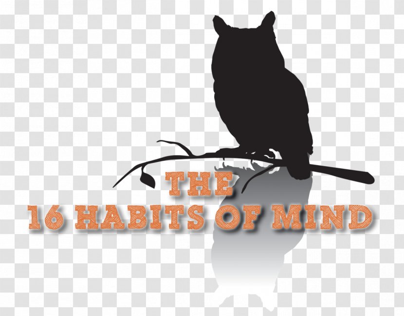 Logo Brand Owl Font Habit - Cartoon - Habits Of Mind Transparent PNG