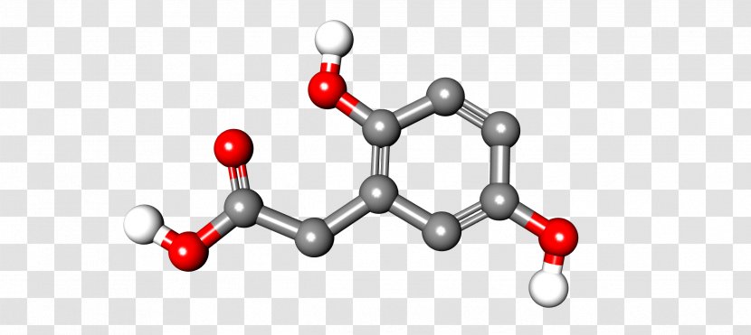 Homogentisic Acid Chinese Wikipedia Encyclopedia - Wiki - Malonic Ester Synthesis Transparent PNG