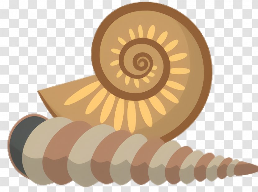 Snail Cartoon - Nautiluses - Nautilus Snails And Slugs Transparent PNG