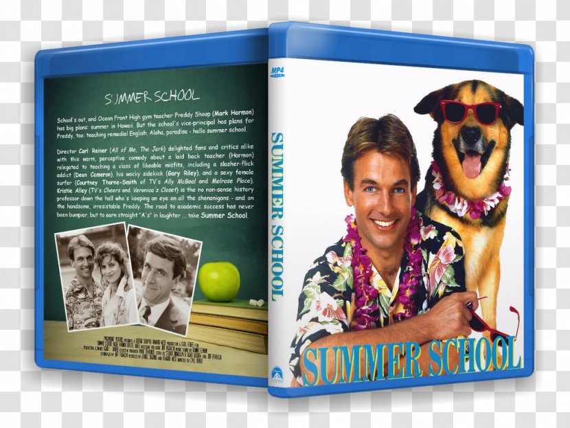 Dave Frazier Film Teacher School The Movie Database - Trailer Transparent PNG