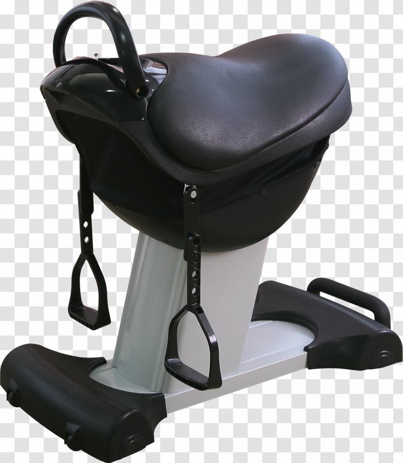 Horse Massage Chair Stallion Transparent PNG