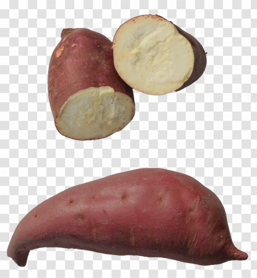 Root Vegetables Sweet Potato Food - Tuber - Yam Transparent PNG