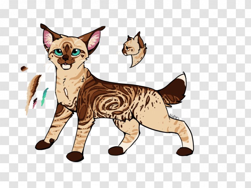 Whiskers Kitten Wildcat Red Fox - Small To Medium Sized Cats Transparent PNG