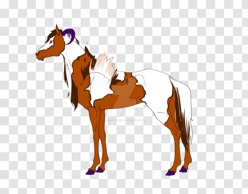 Foal Mane Stallion Colt Mare - Pony - Mustang Transparent PNG