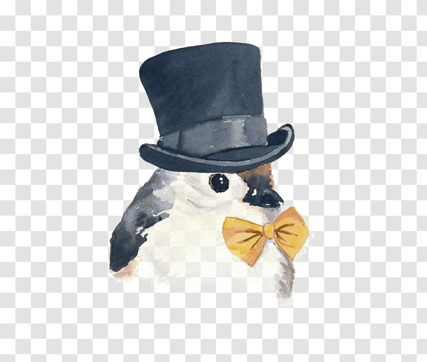 Bird Top Hat Drawing Illustration - Beak - Sparrow Transparent PNG