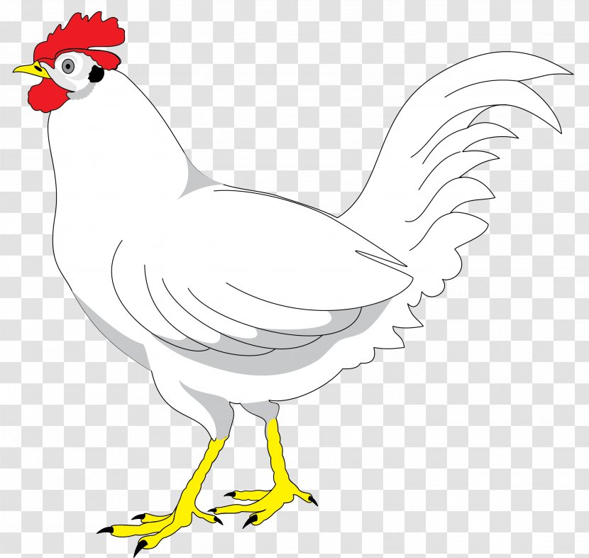 Plymouth Rock Chicken Drawing Animation - Fauna - Farm Transparent PNG