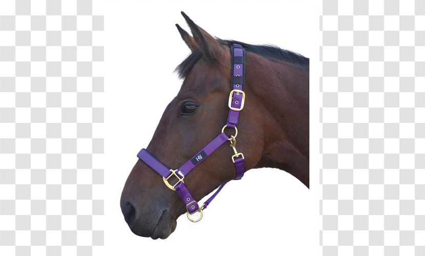 Halter Welsh Pony And Cob Lead - Nylon - Rope Transparent PNG