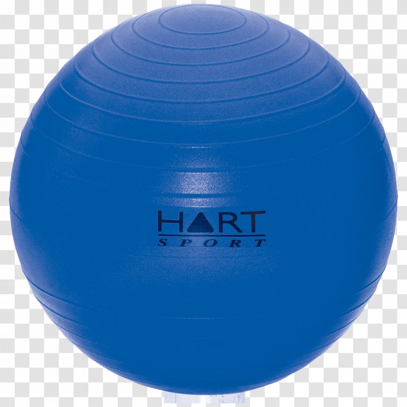 Exercise Balls Physical Flexibility Sport - Gst Transparent PNG
