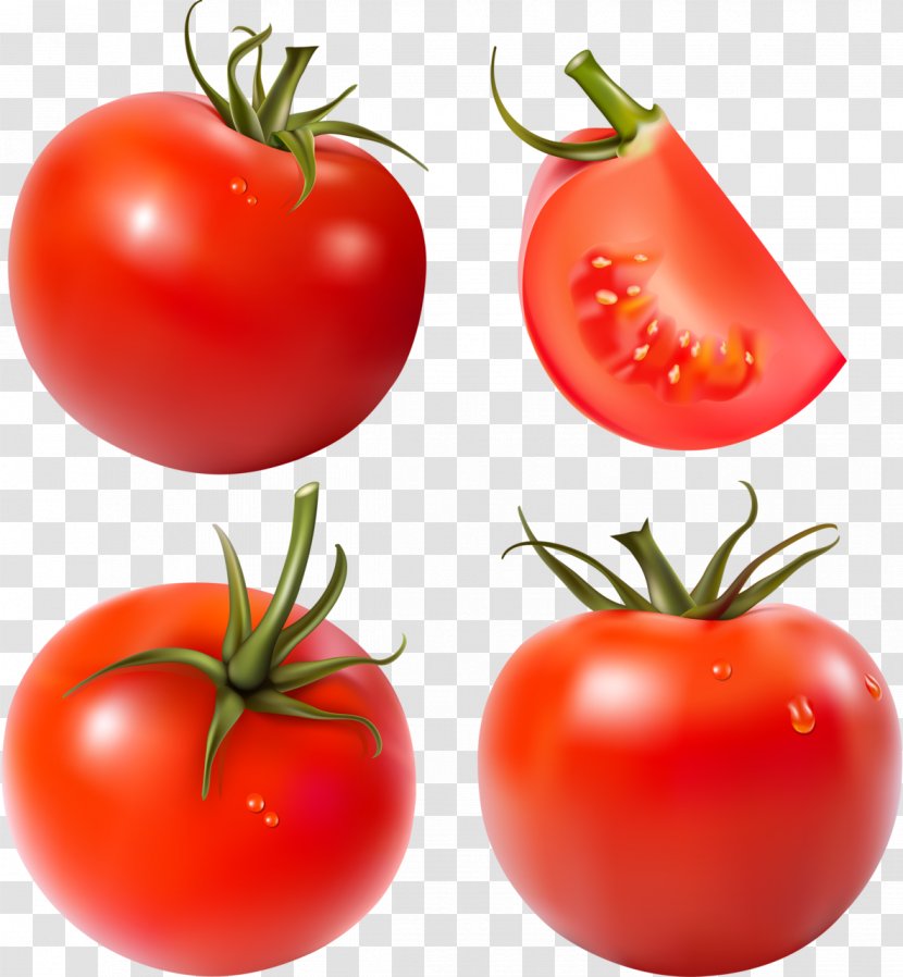 Vector Graphics Tomato Juice Paste Clip Art - Ketchup - Huerta Map Transparent PNG