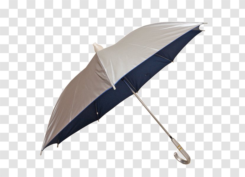 Umbrella - Fashion Accessory Transparent PNG