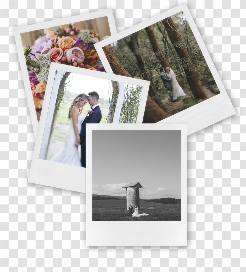 Printing Photographic Paper Printer - Picture Frame - Wedding Suits Transparent PNG