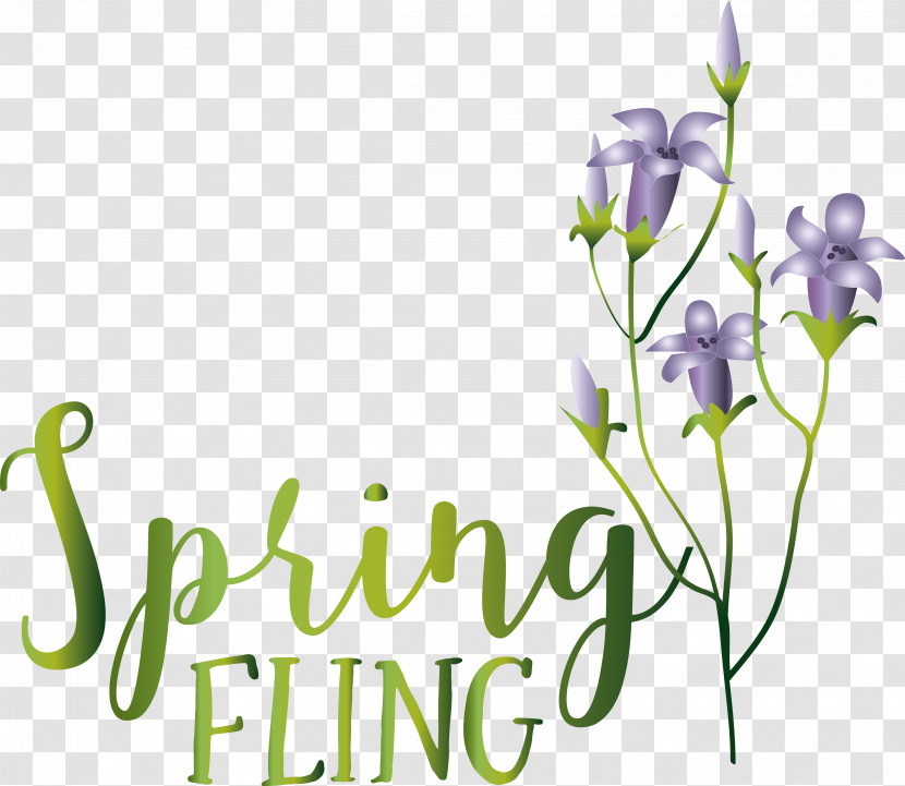 Floral Design Transparent PNG