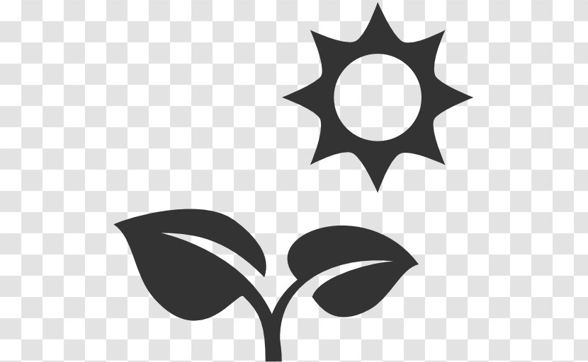 Icon Design Image Clip Art - Plants - Plante Transparent PNG