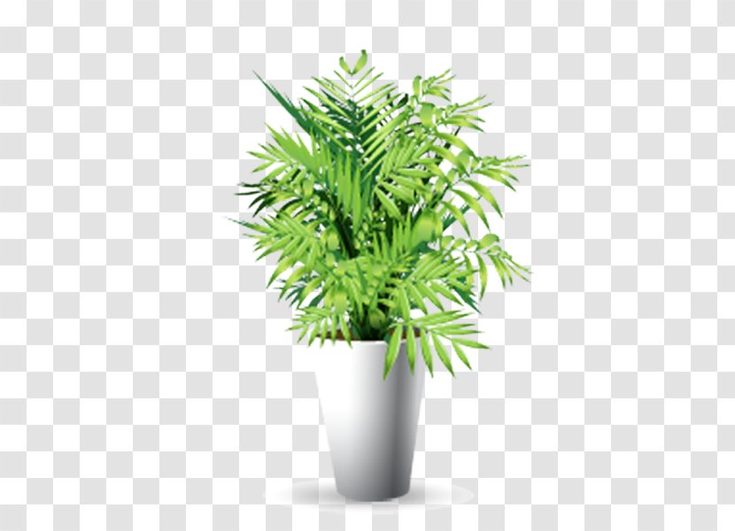 Download Icon - Grass - Decorative Plants Transparent PNG