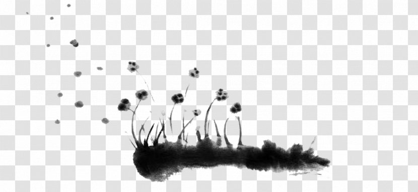 Black And White - Dandelion Picture Material Transparent PNG