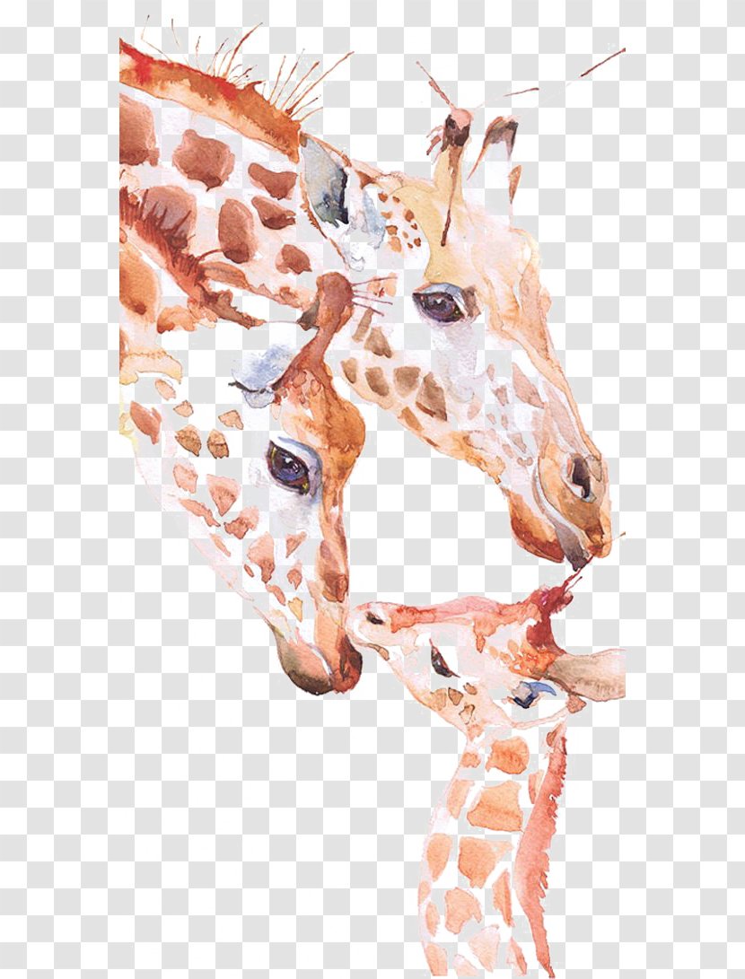 Giraffe Watercolor Painting Art Drawing - Paper Transparent PNG