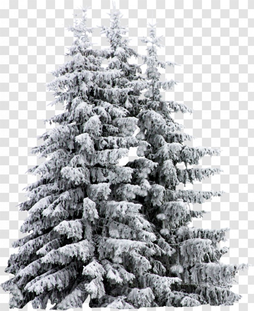 Artificial Christmas Tree Snow - Prelit - Fir-tree Transparent PNG